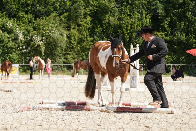 sA9K07834.JPG